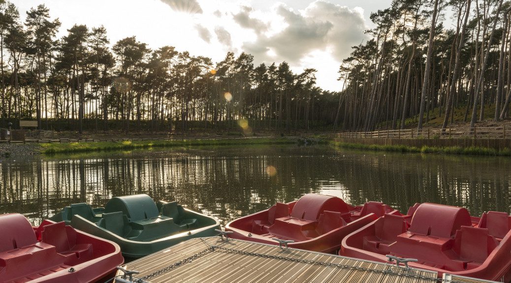 boating lake at center parcs woburn forest