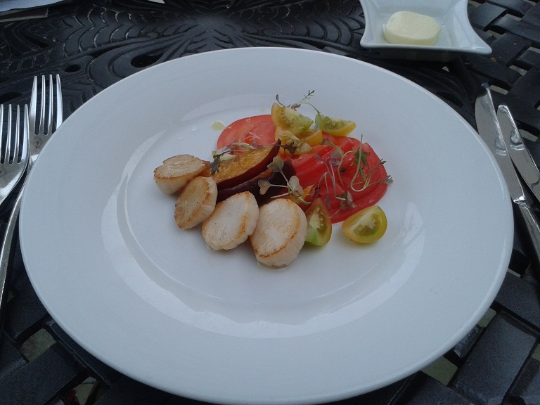 Hand-dived Cornish scallop