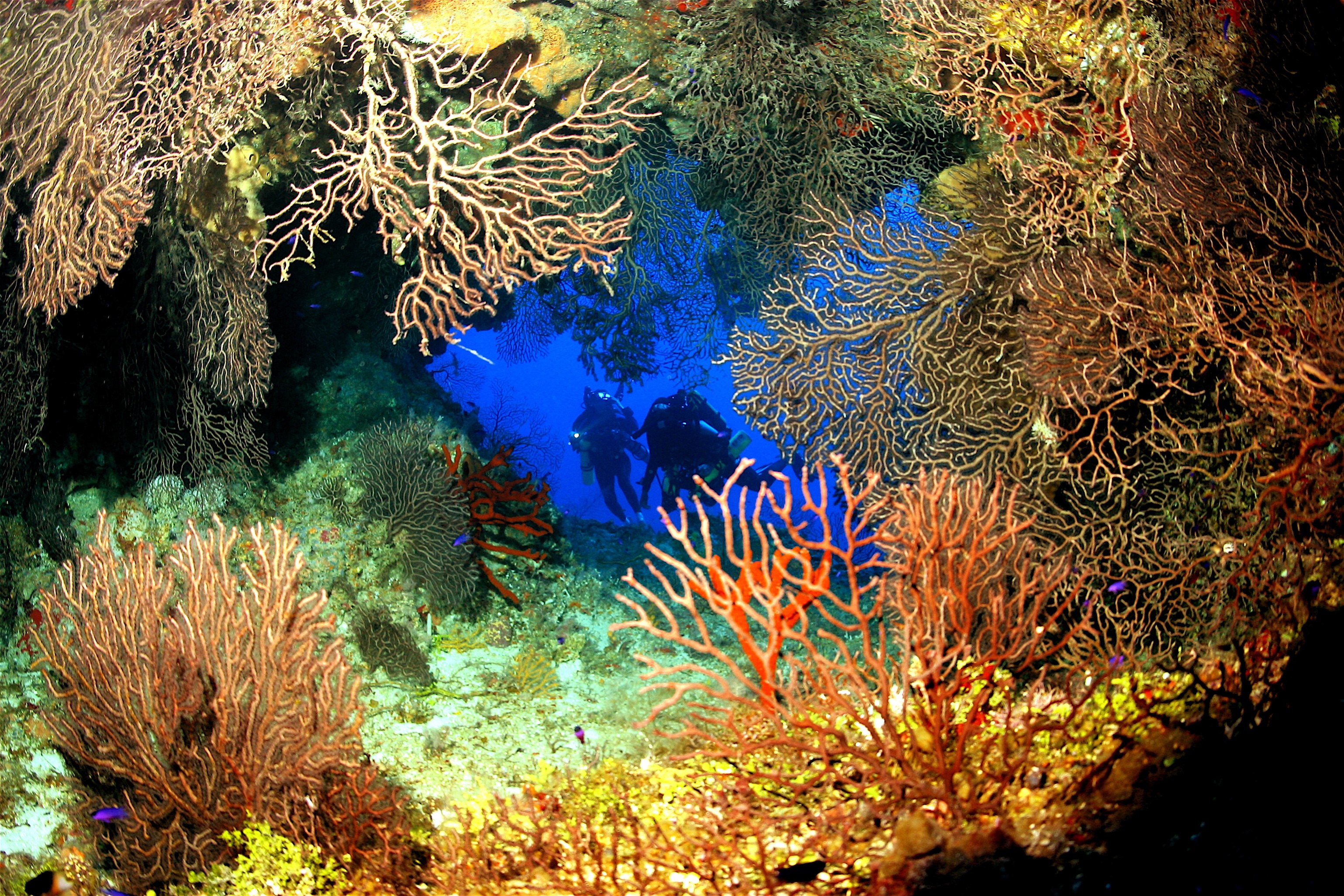 cayman islands holiday reviews cayman islands holiday reviews