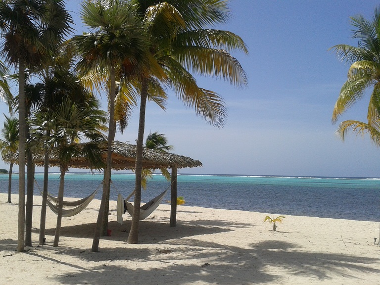 beach on Little Cayman in the Cayman Islands