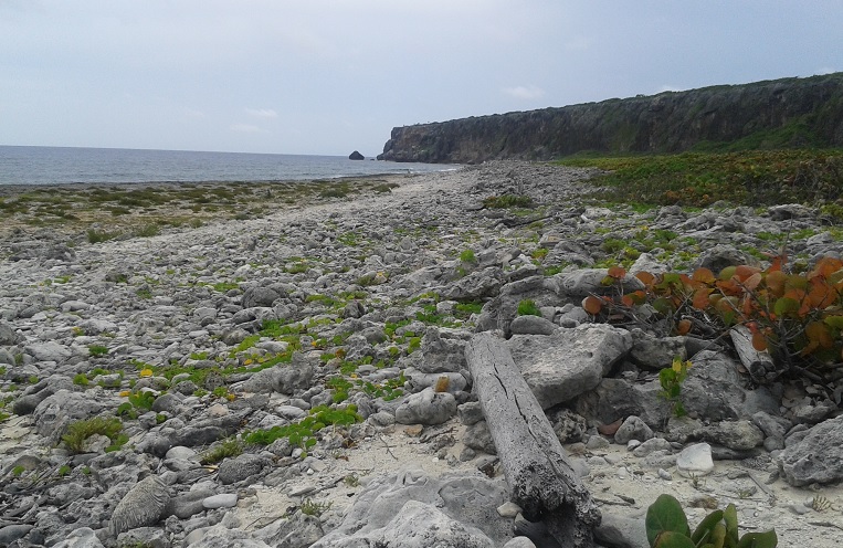 The bluff at Cayman Brac