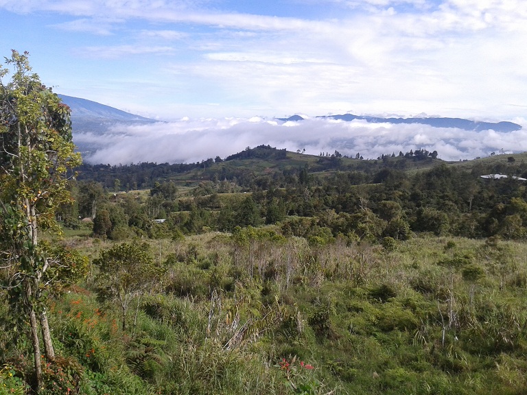 Waghi valley in Papua New Guinea