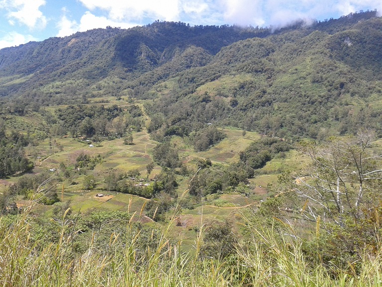 The countryside round Mount Hagen in Papua New Guinea