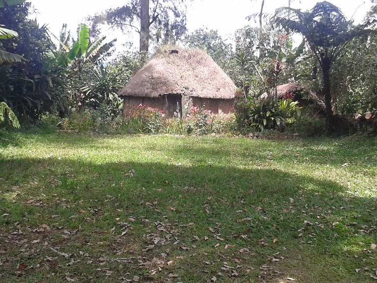 wooden huts in Papua New Guinea