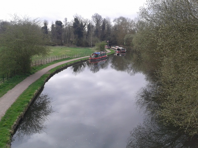 the canal by the grove