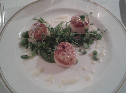 Scallops with pea puree and pea shoots 