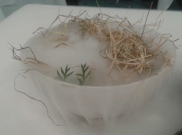 Ynyshir bowl of hay