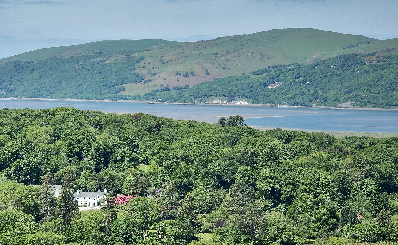 Views of Ynyshir and the River Dyfed