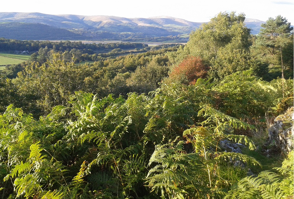 Views around Ynyshir in Wales