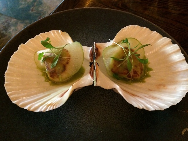 sexy fish scallops