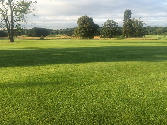 rockliffe hall darlington