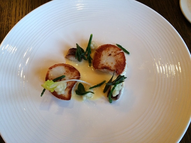 Orkney hand-dived scallops 