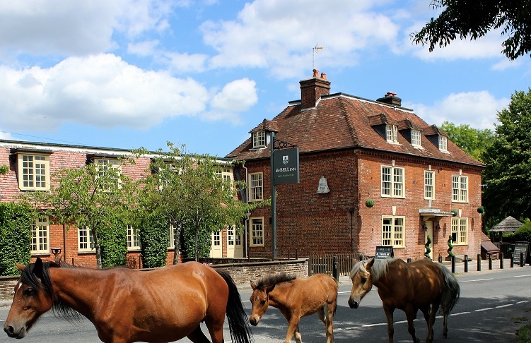 The Bell Inn: a cosy New Forest coaching inn perfect for country walks