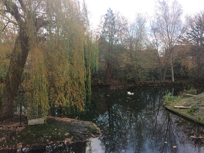 Langshott Manor hotel lake