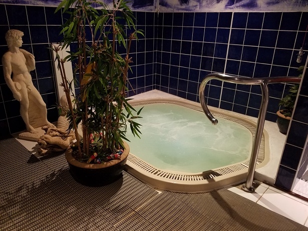 Foxhills B&B Shanklin indoor hot tub