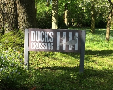 rowhill grange duck crossing sign