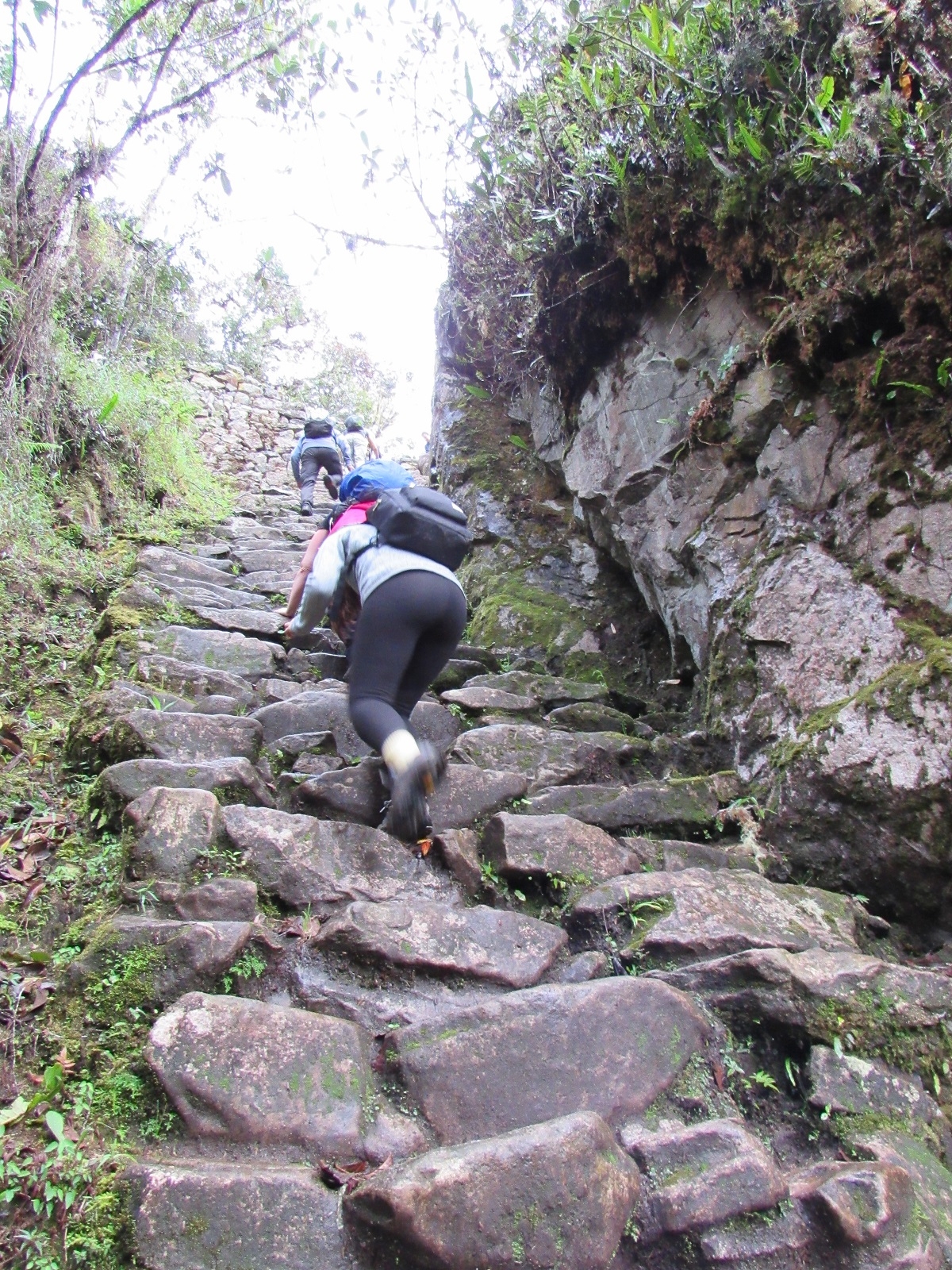 trekking the Inca Trail to Machu Picchu trekking the Inca Trail to Machu Picchu