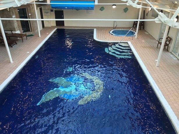 The indoor swimming pool at Stapleford Park hotel