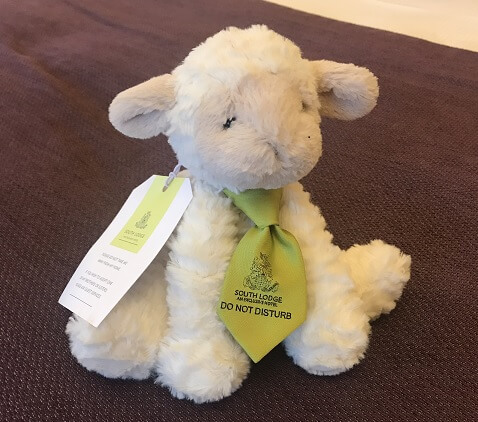 Minty, the room's fluffy lamb