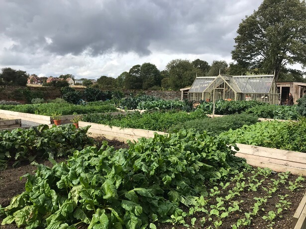 The Pig at Bridge Place kitchen garden