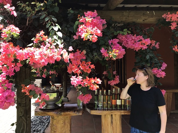 tasting eight rums at the Chamarel distillery