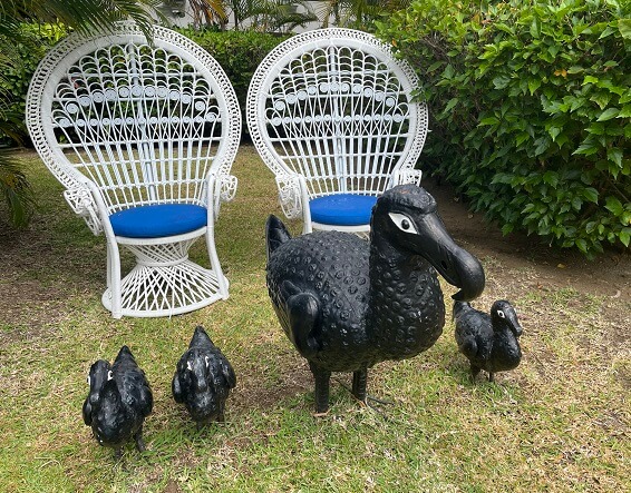 C Mauritius dodos