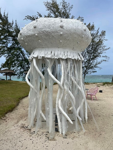 octopus shower on the beach 