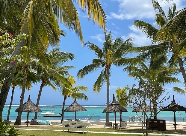 palm trees and beach in Mauritius after lockdown