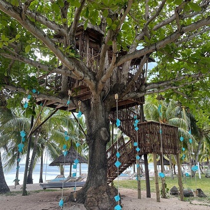 Lux Le Morne Mauritius wishing tree