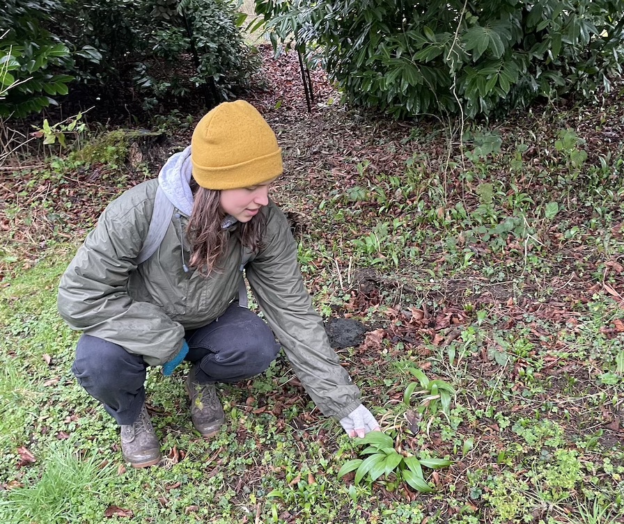 Burleigh Court's kitchen gardener and foraging expert Emanuelle Paulson 