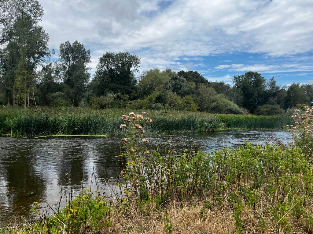 Great Ouse river at Wild Canvas campsite