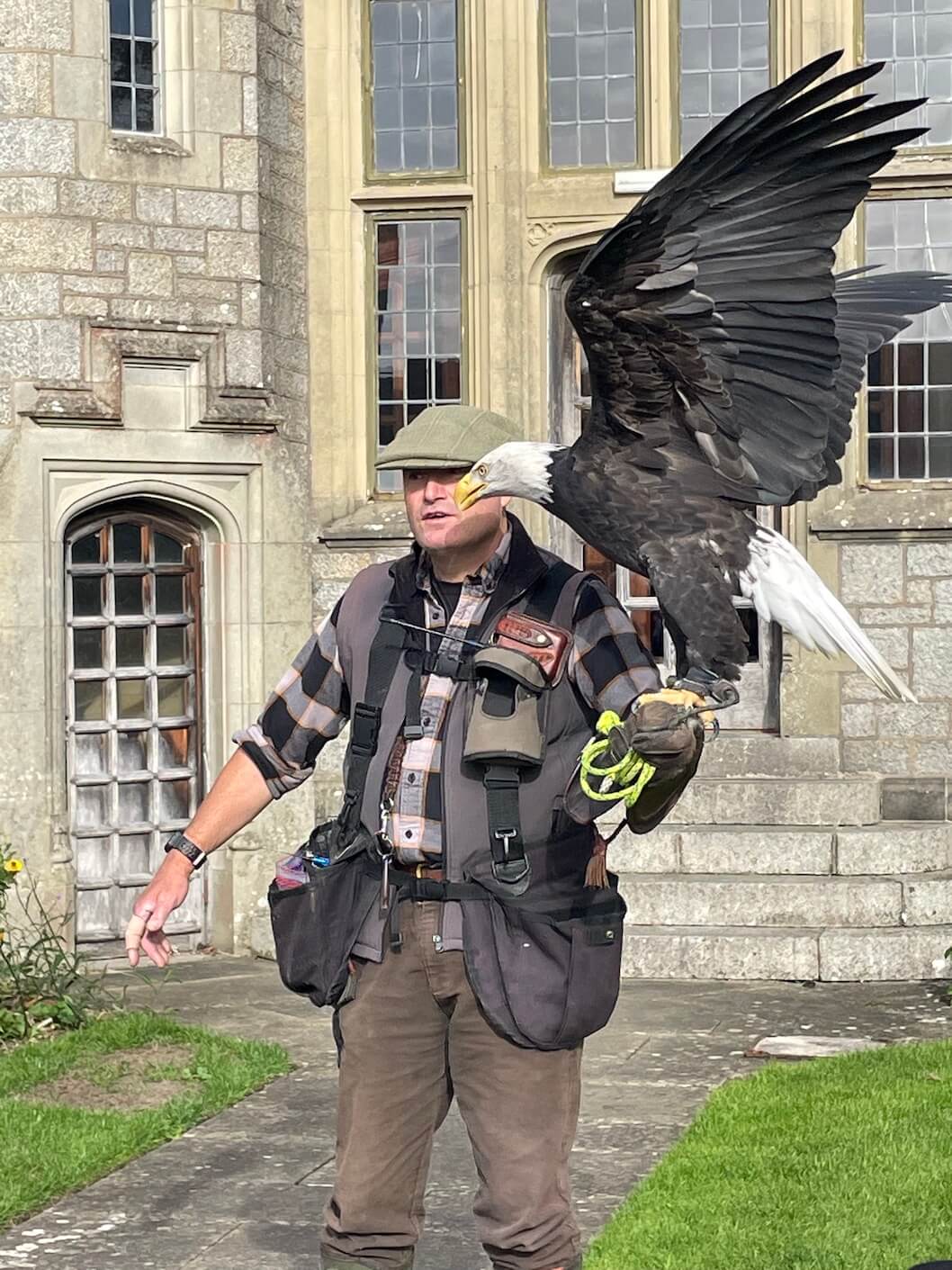 Rosie, Bovey Castle's Bald Eagle