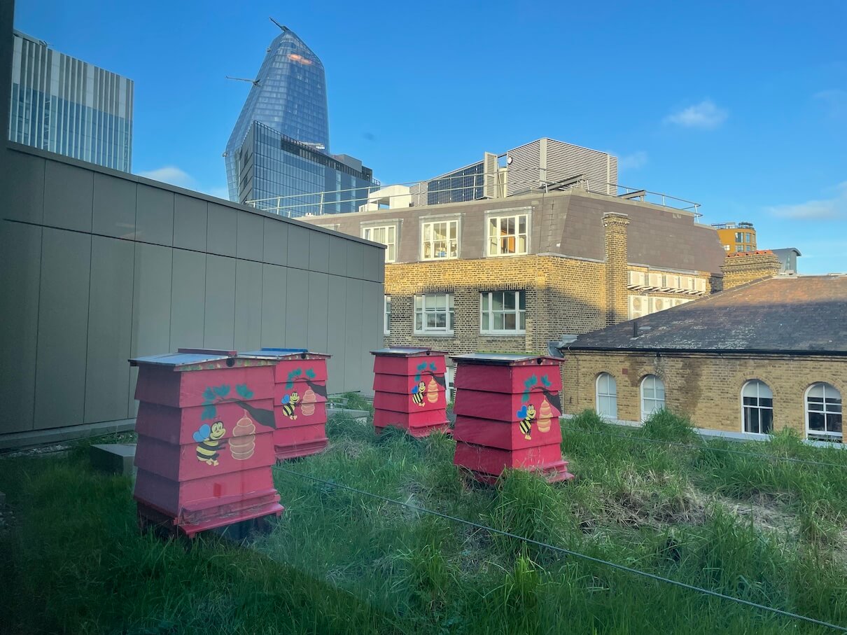 Hilton London Bankside's rooftop beehives