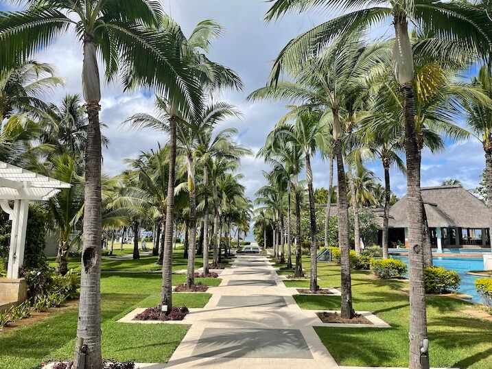 sugar beach resort and palm trees