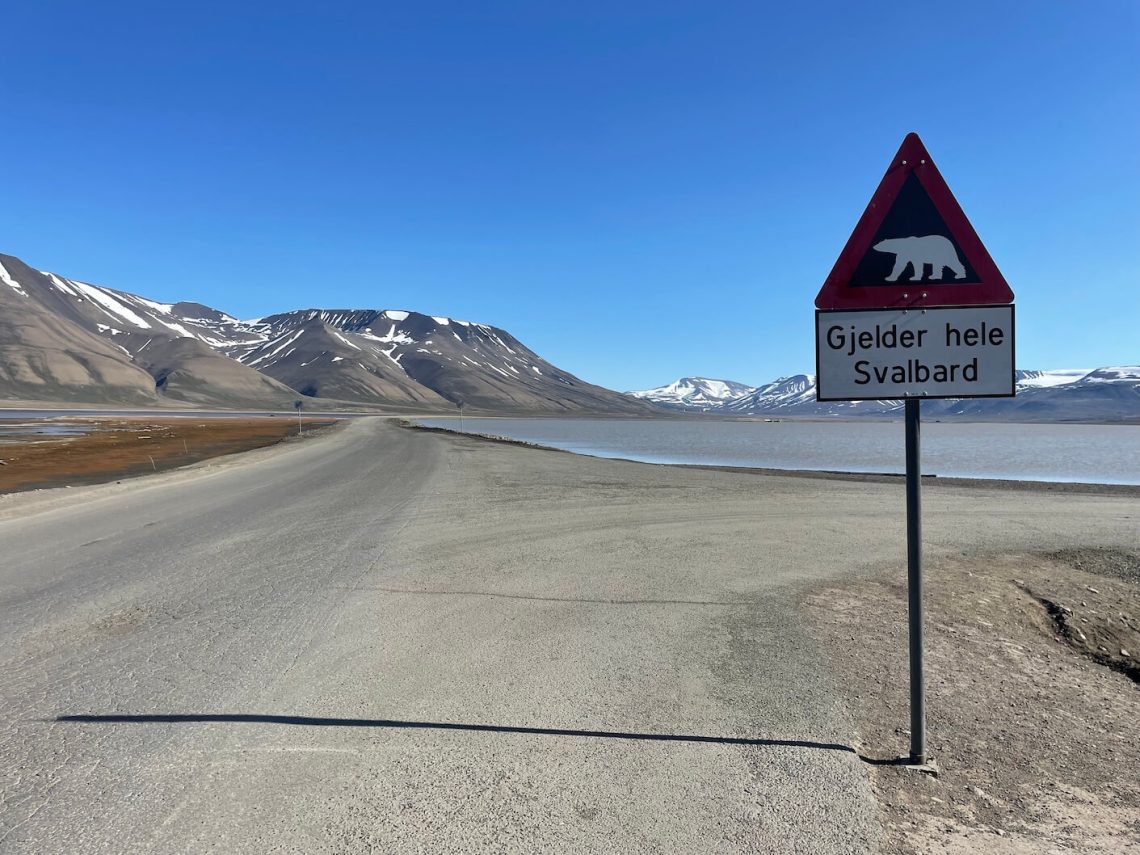 Seeing Svalbard by land, sea and air: my Arctic Adventure with Hurtigruten’s Svalbard Express
