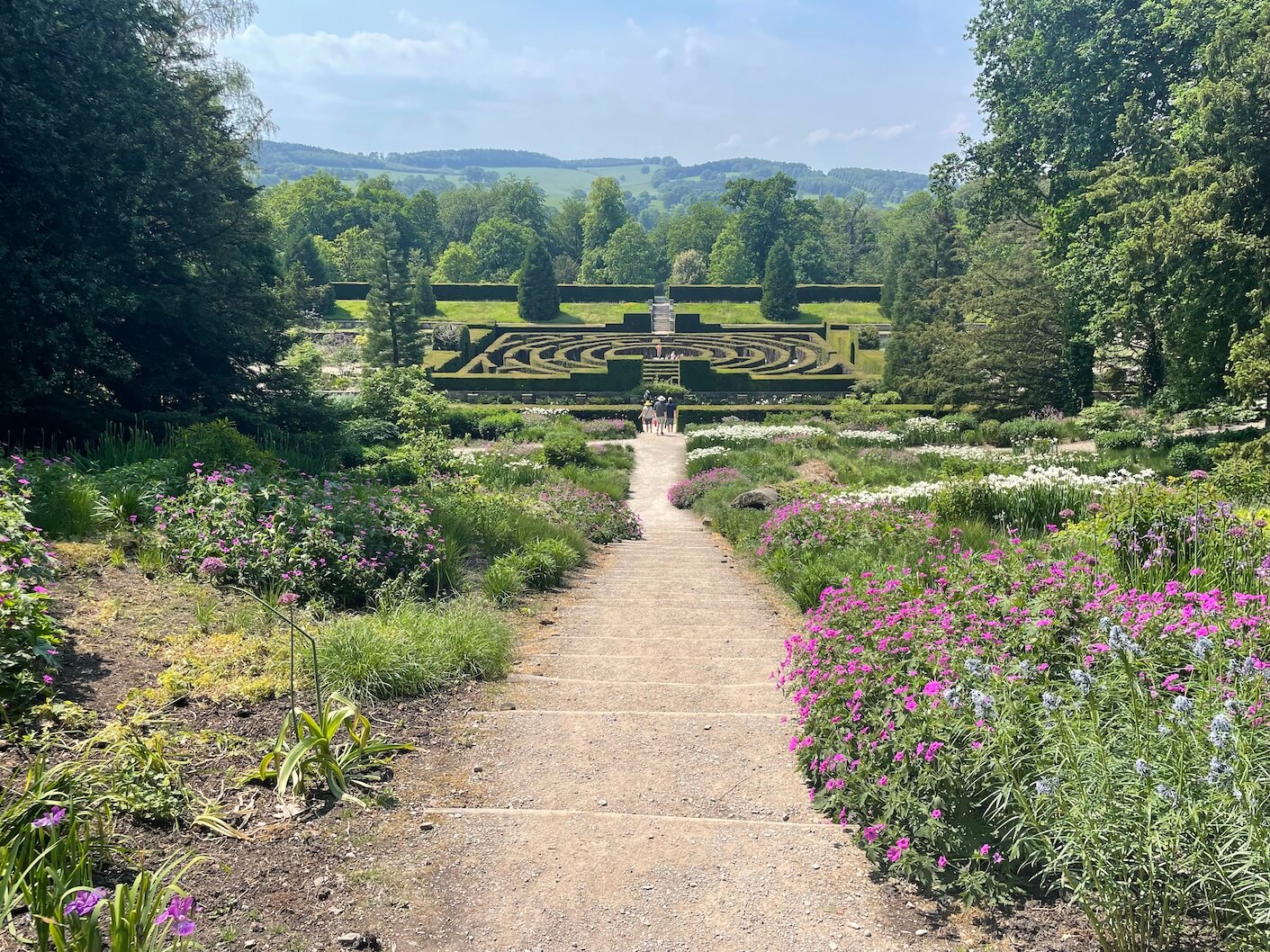 The maze and wildflower gardens at Chatsworth