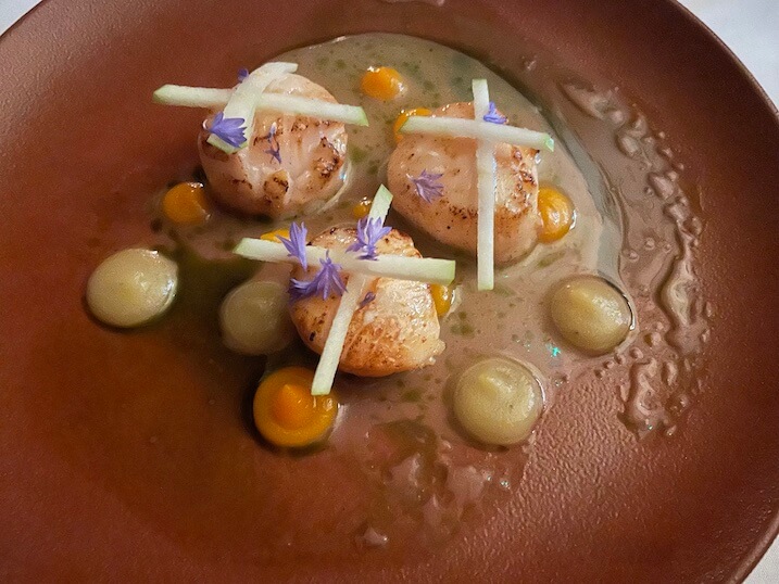 King scallops and butternut puree