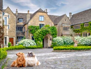 Dogs at Whatley Manor