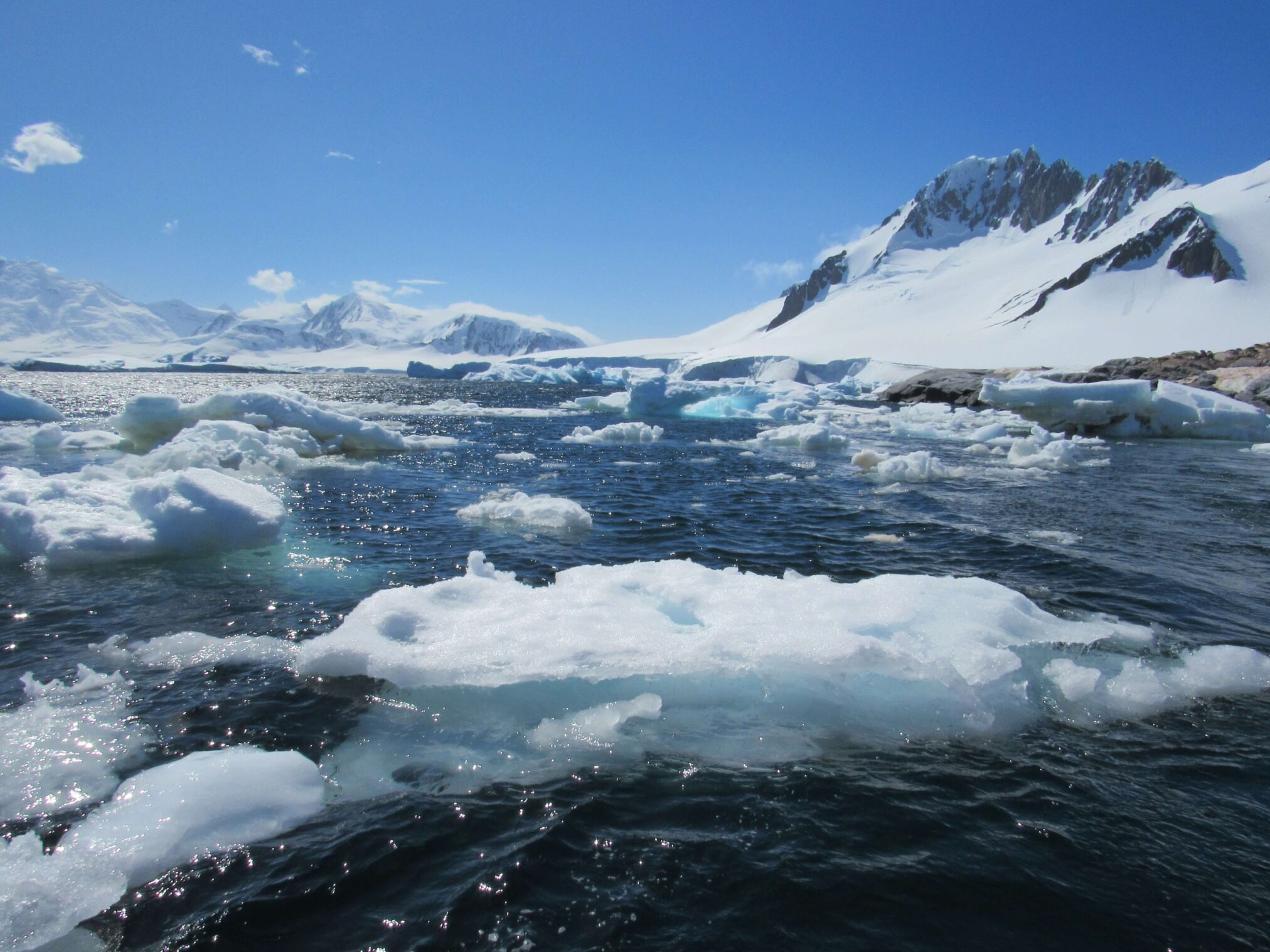 All of a sudden there was colour in the Antarctic in Wilhelmina Bay