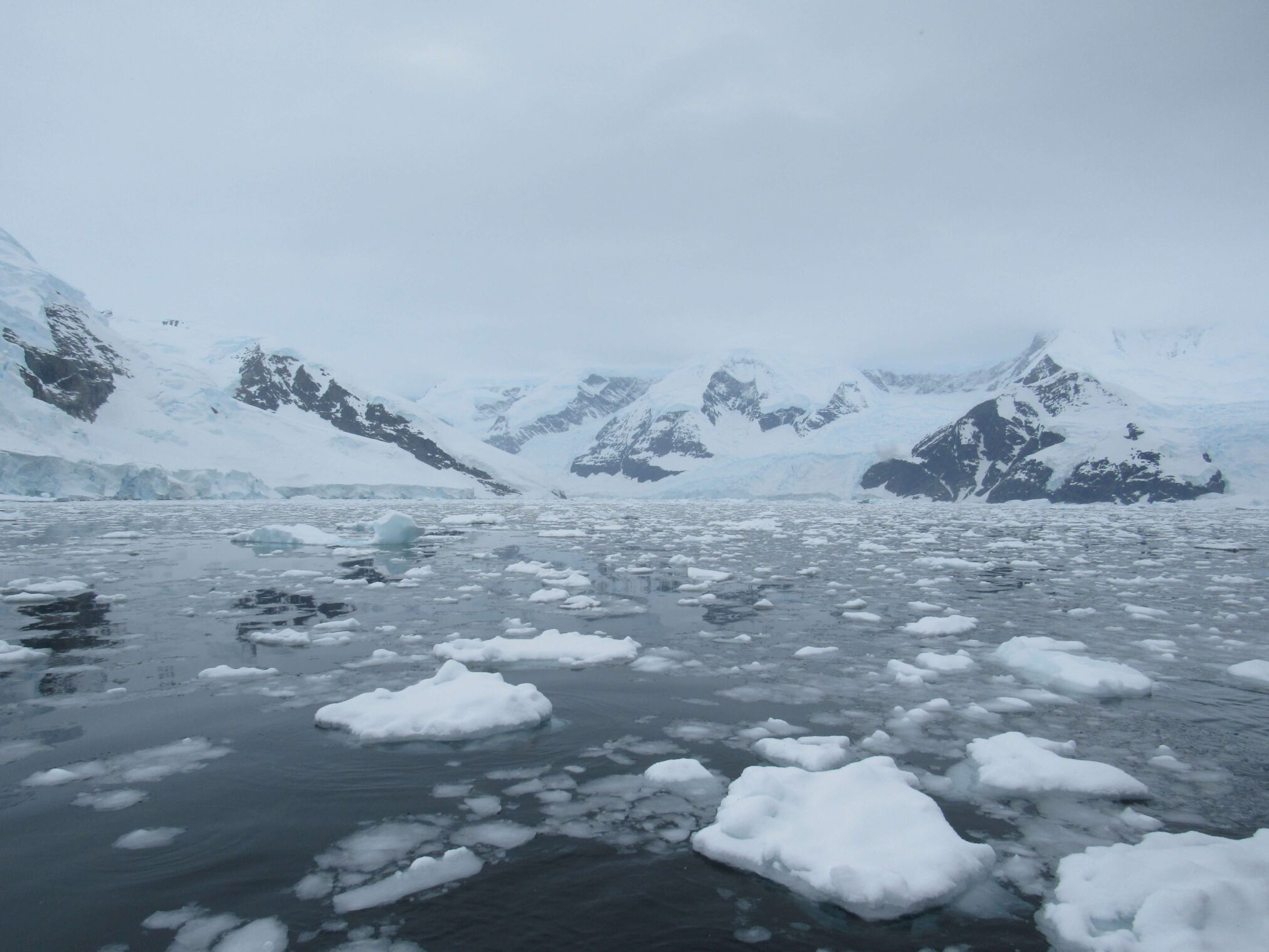 The ice got more prevalent and the scenery more dramatic the further south we went, such as Neko Harbour The ice got more prevalent and the scenery more dramatic the further south we went, such as Neko Harbour