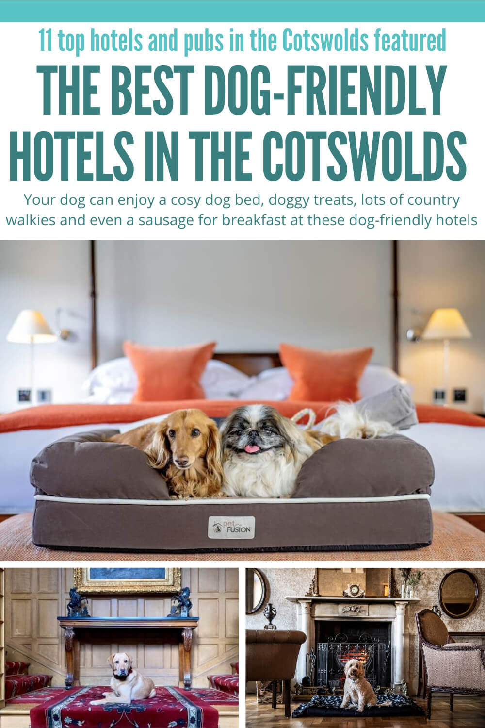 best dog-friendly hotels in the Cotswolds pin